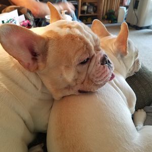 Meet your Posher, Paula